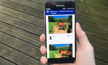 Eleveurs de chevaux western, donnez à vos poulains des marraines et parrains bienveillants !