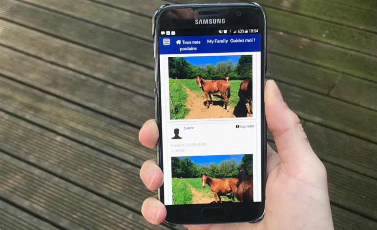 Eleveurs de chevaux western, donnez à vos poulains des marraines et parrains bienveillants !