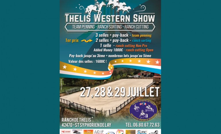 Thelis Western Show : tri de bétail à St Symphorien de Lay (Loire)