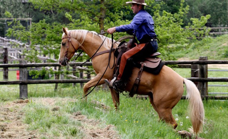 Tous à Acigné (35) pour célébrer le Cheval de Ranch.