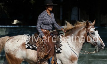 Acigné (35) : la 3ème manche Versatile Ranch Horse de la RHA en 100 photos