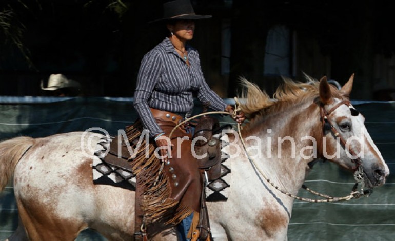 Acigné (35) : la 3ème manche Versatile Ranch Horse de la RHA en 100 photos