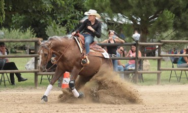 Reining à Graveson (30) - Non Pro Day