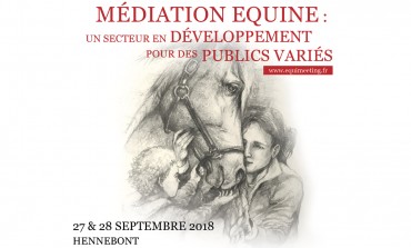 Médiation équine : deux jours indispensables autour du cheval partenaire