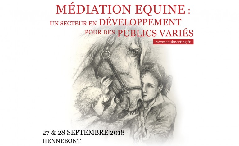 Médiation équine : deux jours indispensables autour du cheval partenaire