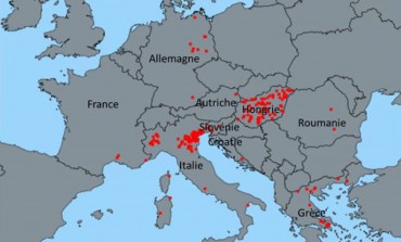 Fièvre de West Nile : des cas dans le sud de la France