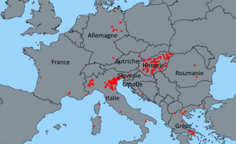 Fièvre de West Nile : des cas dans le sud de la France