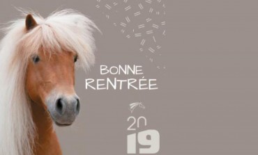 Enseignants, surfez sur la vague déployée par la FFE et sellez les poneys !