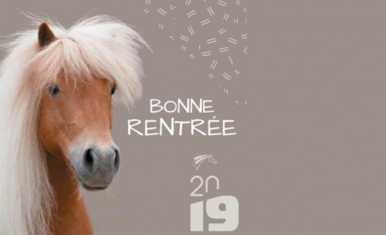 Enseignants, surfez sur la vague déployée par la FFE et sellez les poneys !