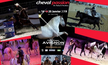 Avignon (84) donne rendez-vous à toutes les passions équestres dès le 16 janvier 2019