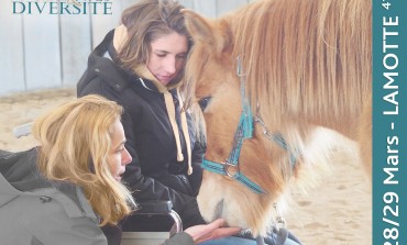 Le cheval partenaire de santé, de la prévention à la reconstruction