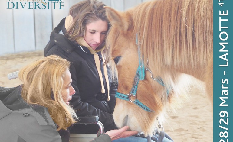 Le cheval partenaire de santé, de la prévention à la reconstruction