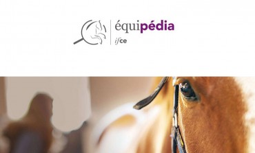 Equipédia, votre encyclopédie du cheval à portée de clic