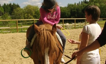 Médiation équine, achat d’un premier cheval ou soin et dopage… des infos pour y voir clair