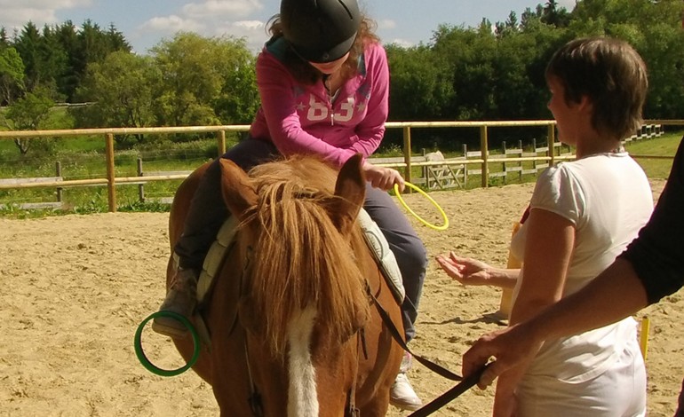 Médiation équine, achat d’un premier cheval ou soin et dopage… des infos pour y voir clair