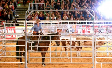 Chevaux, vaches et… chiens ! Tous en lice à Americana