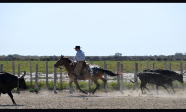 Antoine Cloux, Hank Moss… La Camargue est terre de cowboys le 14 juillet 2019