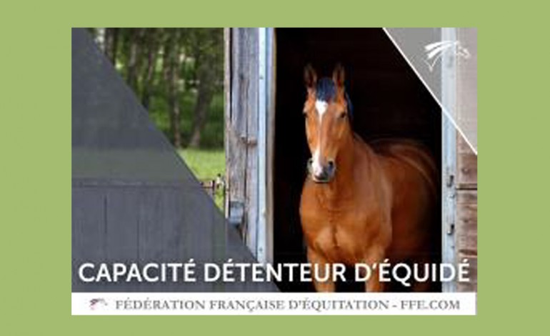 Avoir un cheval, cela s’apprend !