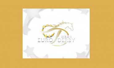 Des Français brillent au derby européen de reining