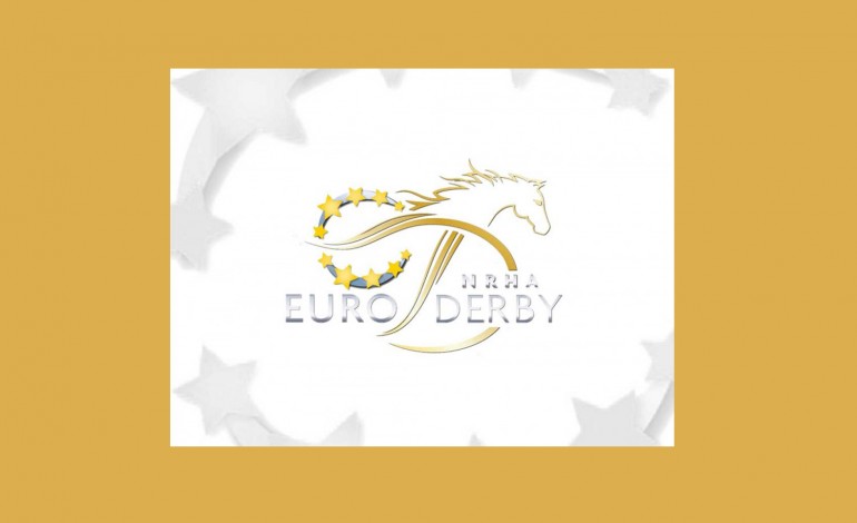 Des Français brillent au derby européen de reining