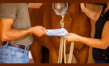 Gérer facilement les papiers de votre cheval