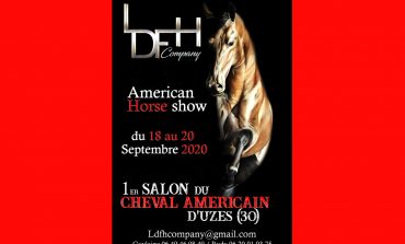 Le cheval US fait salon à Uzès (Gard)