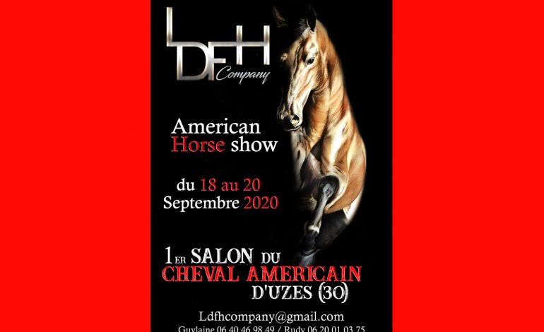 Le cheval US fait salon à Uzès (Gard)