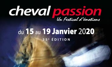 35 ans de passion équestre en Avignon