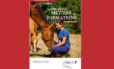 Tout ce que vous voulez savoir sur les métiers du cheval