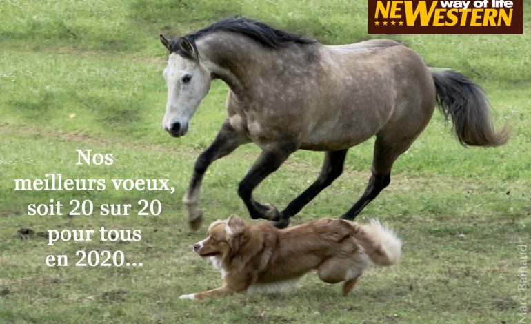 Belle année à toutes et tous !