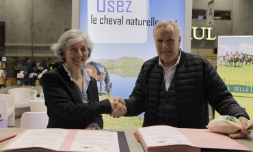 L’équitation en forêt en toute harmonie durable