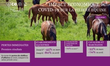 Le coût du Covid-19 pour la filière cheval