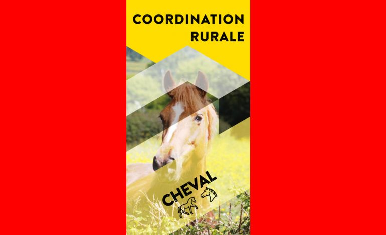 Vigilance et mobilisation de tous face aux attaques de chevaux