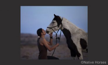 Tout le projet « Native Horses »