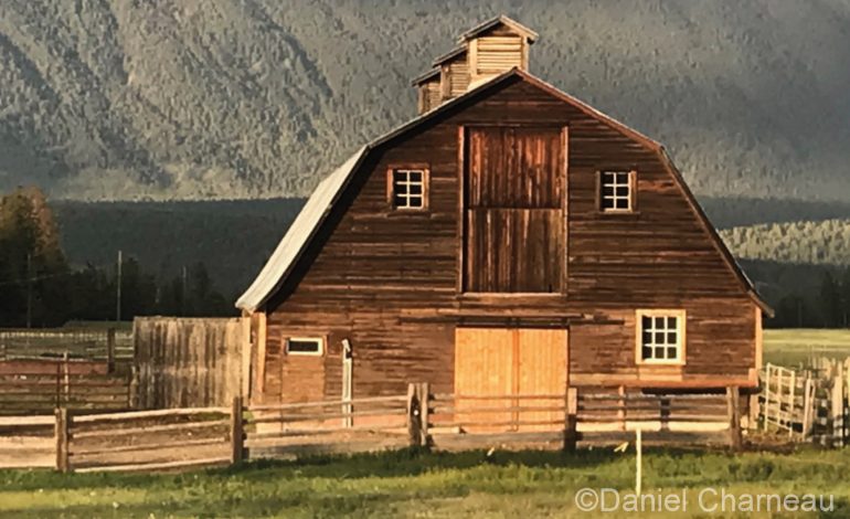 Le wwoofing version western, une expérience…