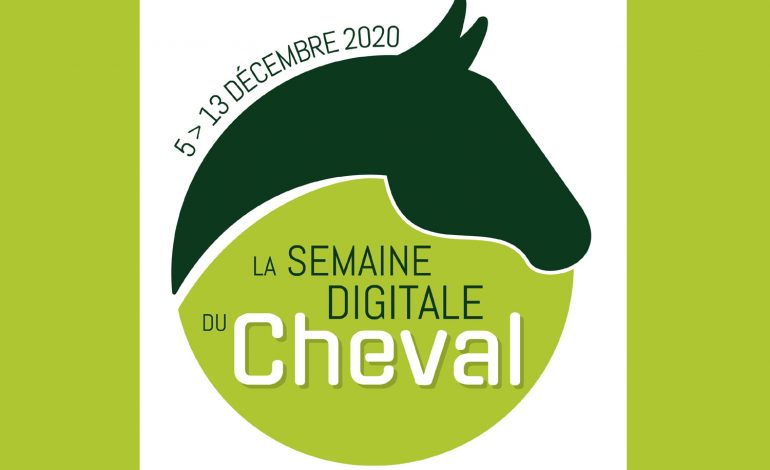 Un salon du cheval en visio !