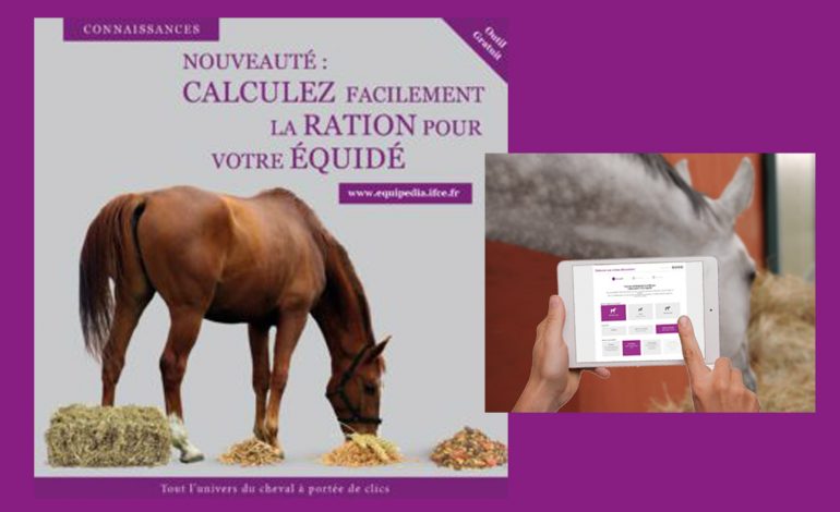 Quelle ration pour mon cheval ?