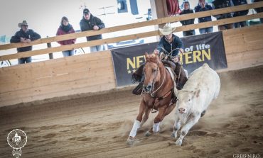 2020 n’a pas brisé la belle dynamique du Reined Cow Horse