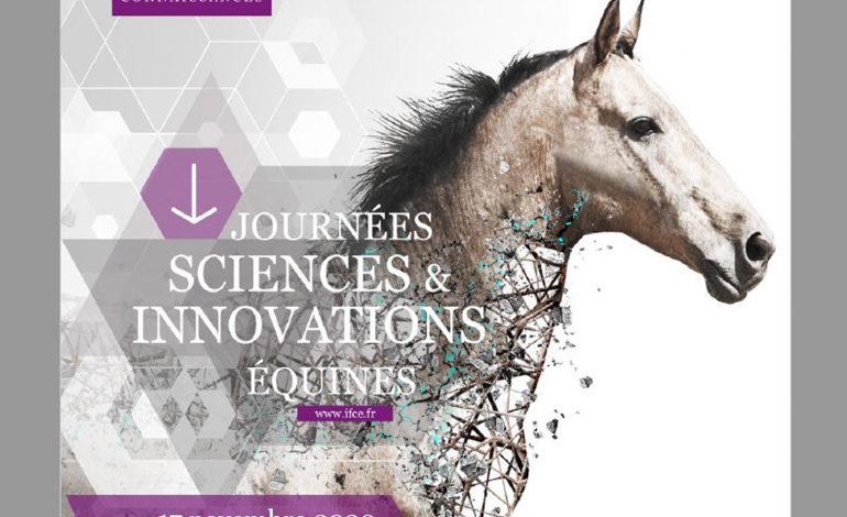 Infos cheval : mise à jour le 17 novembre 2020 !