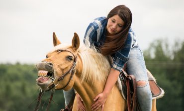 Comment contribuer au bien-être du cheval