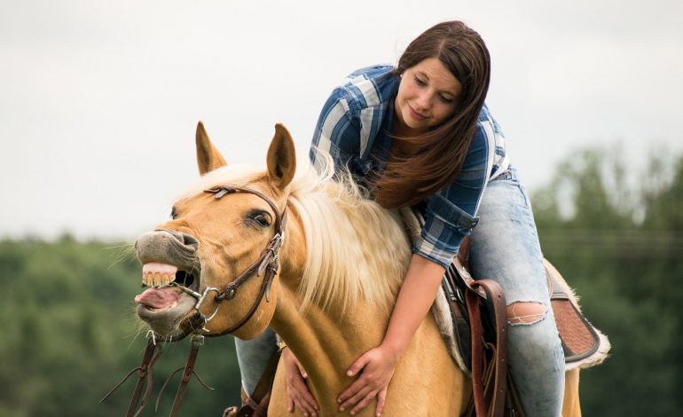 Comment contribuer au bien-être du cheval