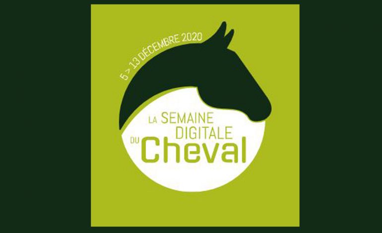 Des échanges à ne pas manquer lors de ce premier salon du cheval virtuel