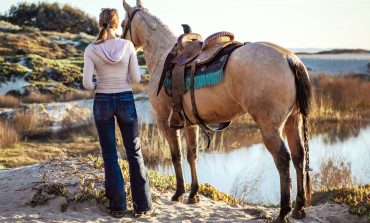 Crise sanitaire et gestion des chevaux : des précisions en temps réel
