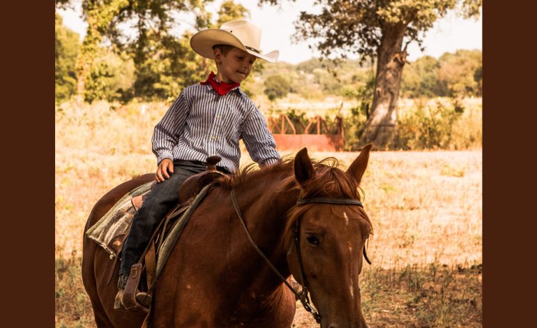 Dans les départements confinés, on garde le contact avec son cheval…
