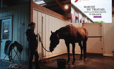 Bon à savoir pour faire carrière dans l’univers du cheval