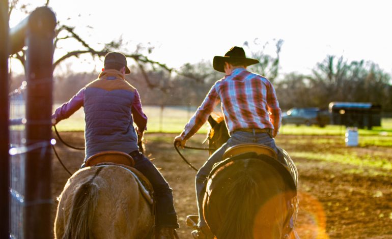 Enseignants d’équitation indépendants qui êtes-vous ?