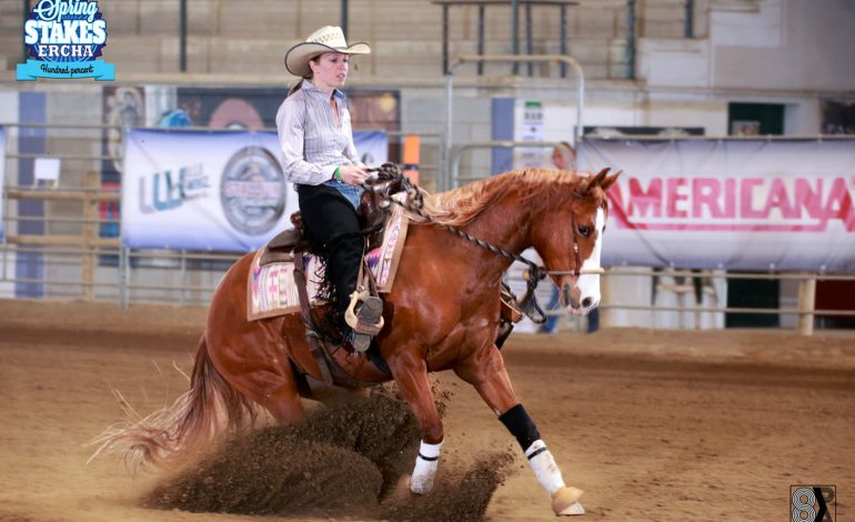 Reined cow horse : La compétition européenne a repris et les Français ont brillé