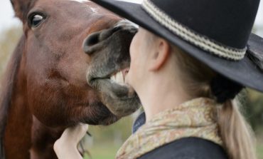 N’hésitez plus à parler « bébé » à votre cheval !