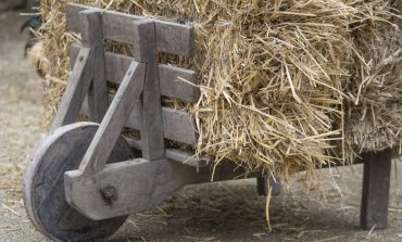 Comment faciliter le travail de maintenance à l’écurie ?