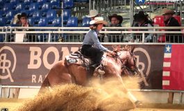 Americana ERCHA/NRCHA Futurity & Derby : Marine Richard meilleure femme européenne de la saison de fence work...